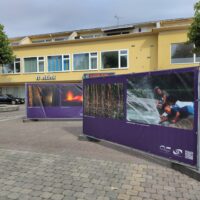 IMG_20250731_101310